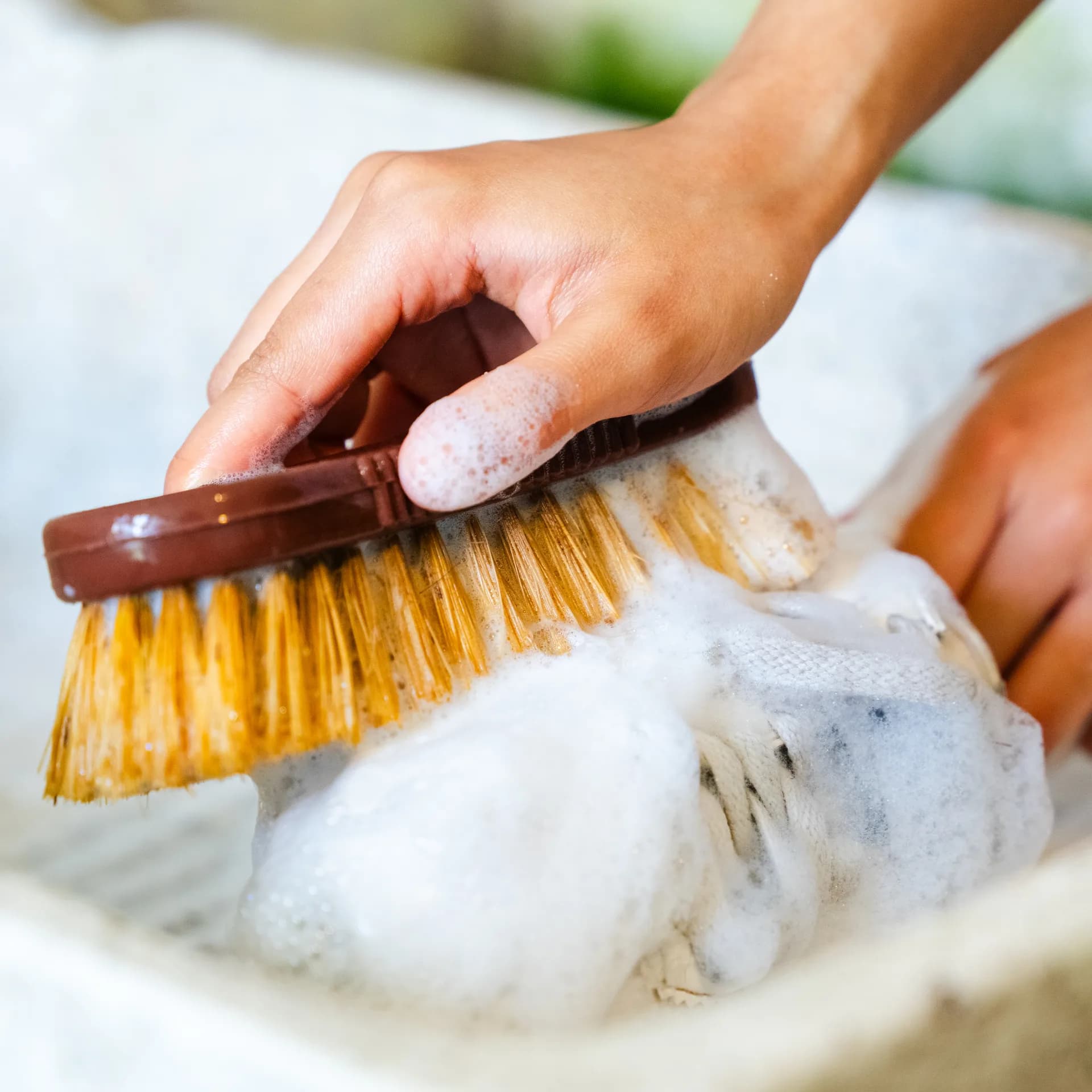 Rebranding para una Líder Mexicana de Suministros de Limpieza